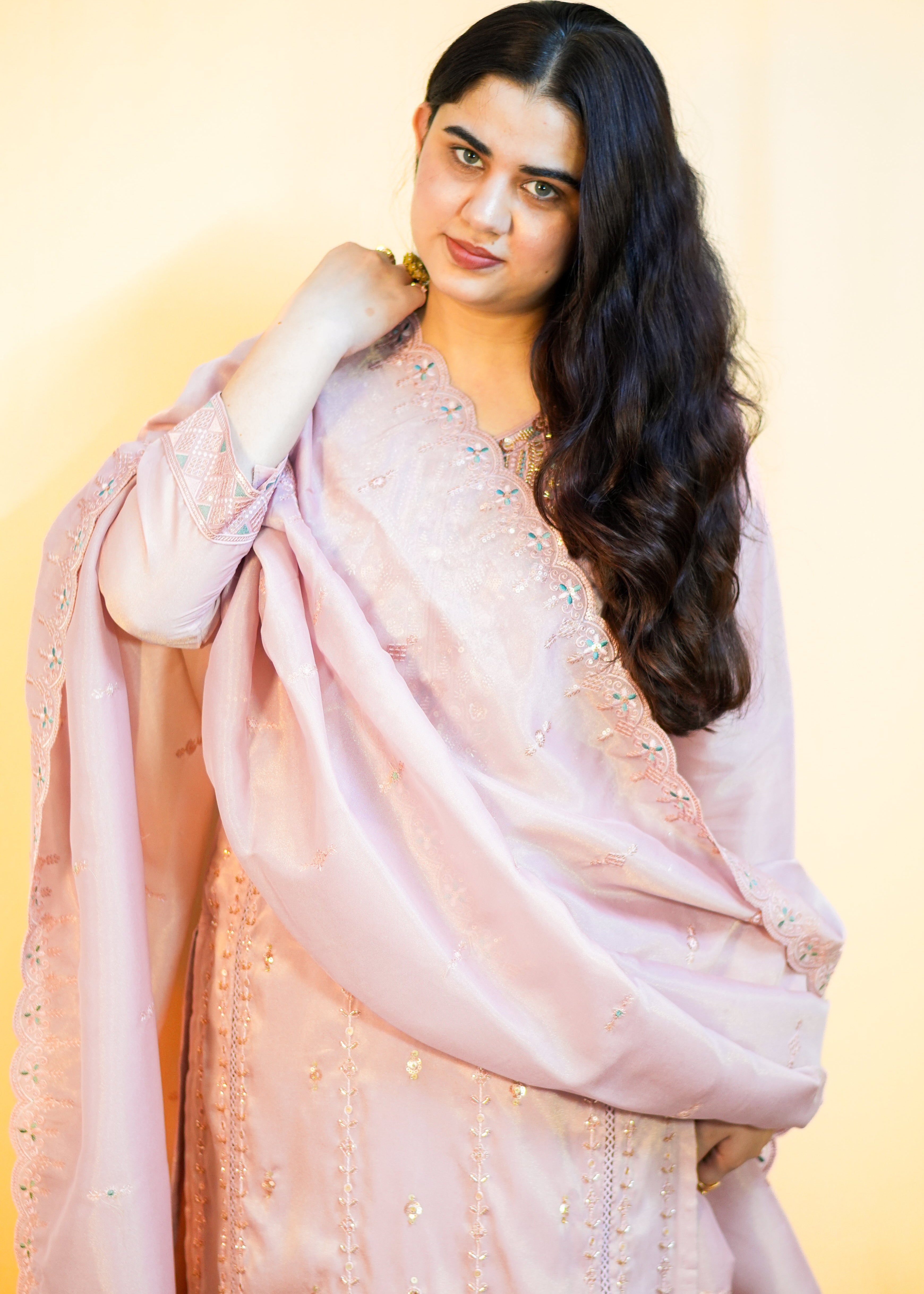 Light Pink Georgette Chiffon Blend Dress with Elegant Embroidery & Cutwork