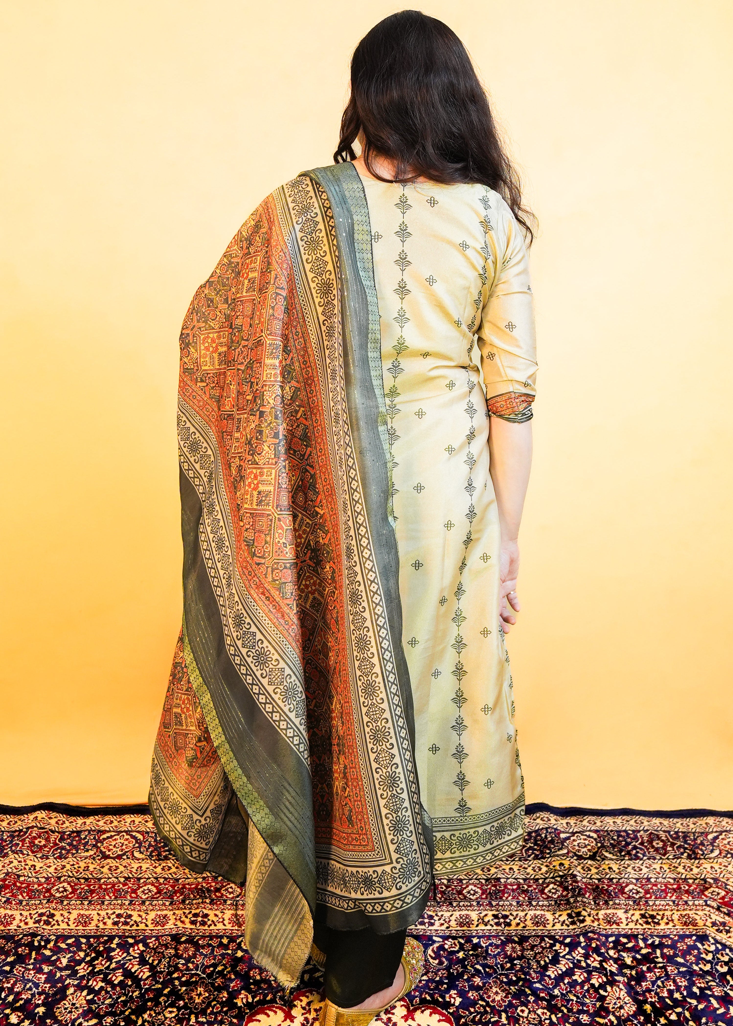 Banarasi Style Dress with Mirror Work & Silver Thread Detailing